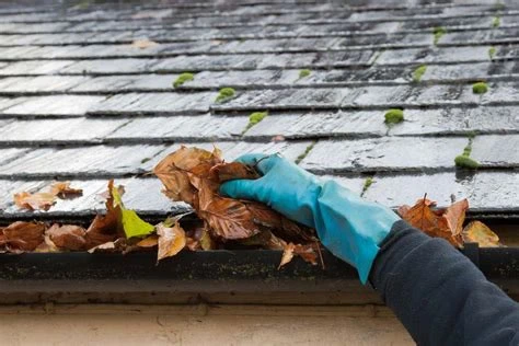 Gutter Cleaning