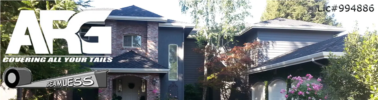 Action Rain Gutters